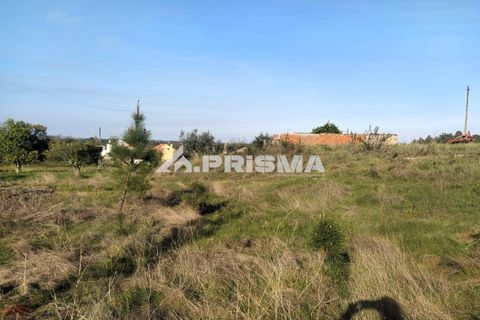 Helårsgrund i Castelo Branco, Castelo Branco, Castelo Branco - € 23.500 | Ref: PP4744 - foto 2