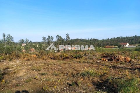 Helårsgrund i Castelo Branco, Castelo Branco, Castelo Branco - € 23.500 | Ref: PP4744 - foto 23