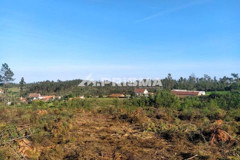 Helårsgrund i Castelo Branco, Castelo Branco, Castelo Branco - € 23.500 | Ref: PP4744 - foto 25