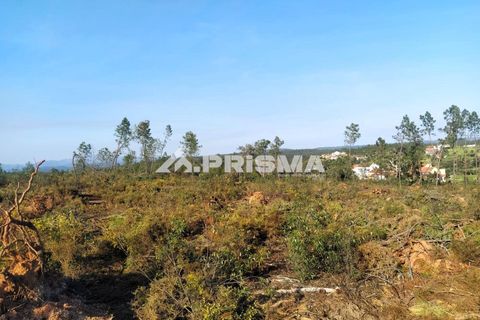 Helårsgrund i Castelo Branco, Castelo Branco, Castelo Branco - € 23.500 | Ref: PP4744 - foto 29