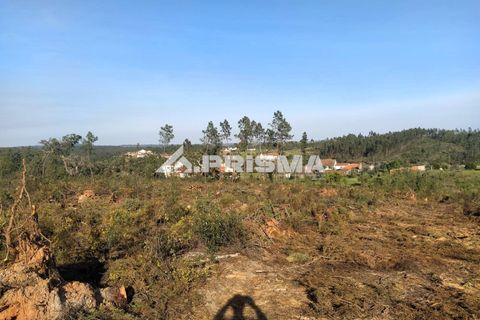 Helårsgrund i Castelo Branco, Castelo Branco, Castelo Branco - € 23.500 | Ref: PP4744 - foto 30