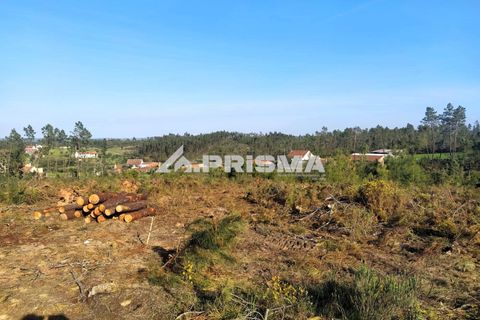 Helårsgrund i Castelo Branco, Castelo Branco, Castelo Branco - € 23.500 | Ref: PP4744 - foto 37