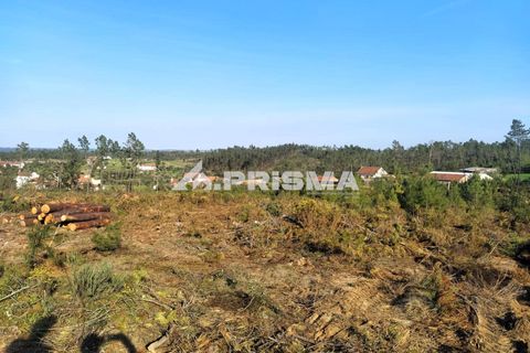 Helårsgrund i Castelo Branco, Castelo Branco, Castelo Branco - € 23.500 | Ref: PP4744 - foto 38