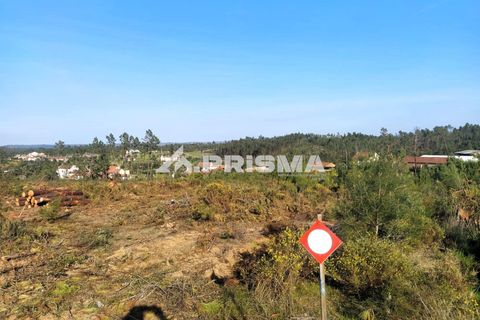Helårsgrund i Castelo Branco, Castelo Branco, Castelo Branco - € 23.500 | Ref: PP4744 - foto 40