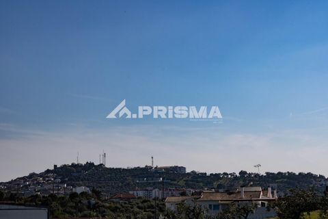 Byhus i Castelo Branco, Castelo Branco, Castelo Branco - € 735.000 | Ref: PP4746 - foto 5