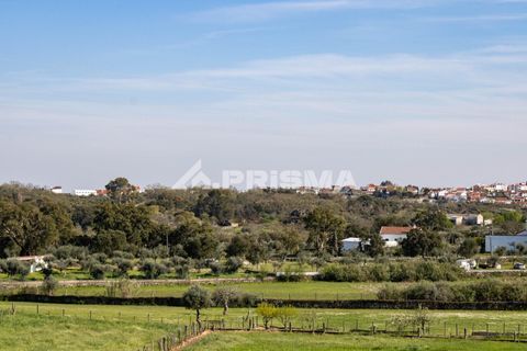 Byhus i Castelo Branco, Castelo Branco, Castelo Branco - € 735.000 | Ref: PP4746 - foto 20