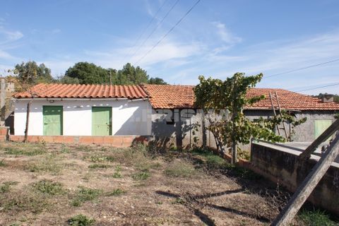 Byhus i Castelo Branco, Castelo Branco, Castelo Branco - € 70.000 | Ref: PP3791 - foto 12
