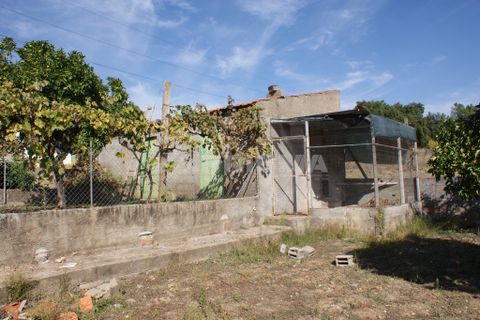 Byhus i Castelo Branco, Castelo Branco, Castelo Branco - € 70.000 | Ref: PP3791 - foto 14