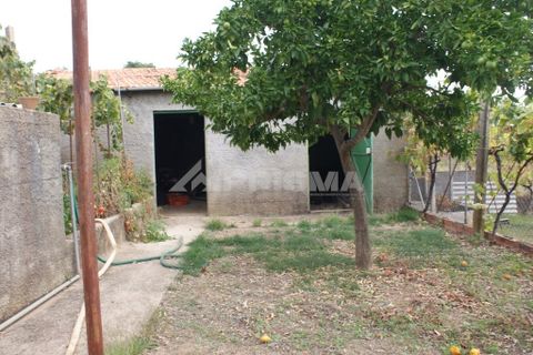 Byhus i Castelo Branco, Castelo Branco, Castelo Branco - € 70.000 | Ref: PP3791 - foto 15