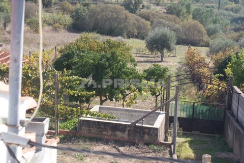 Byhus i Castelo Branco, Castelo Branco, Castelo Branco - € 70.000 | Ref: PP3791 - foto 18