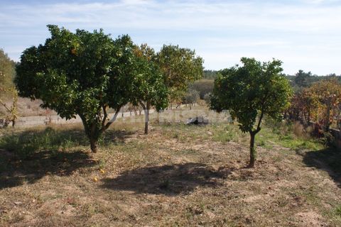 Byhus i Castelo Branco, Castelo Branco, Castelo Branco - € 70.000 | Ref: PP3791 - foto 19