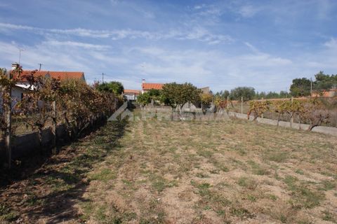 Byhus i Castelo Branco, Castelo Branco, Castelo Branco - € 70.000 | Ref: PP3791 - foto 21