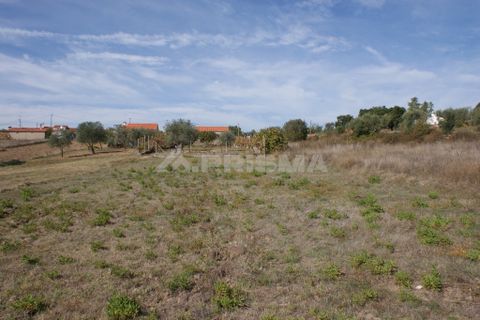 Byhus i Castelo Branco, Castelo Branco, Castelo Branco - € 70.000 | Ref: PP3791 - foto 22