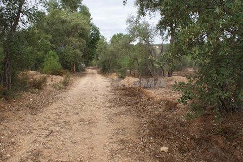 Byhus i Castelo Branco, Castelo Branco, Castelo Branco - € 70.000 | Ref: PP3791 - foto 31