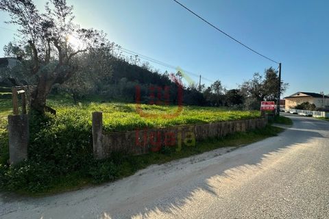 Helårsgrund i Ourem, Santarem, Ourem - € 35.000 | Ref: 1357 - foto 2