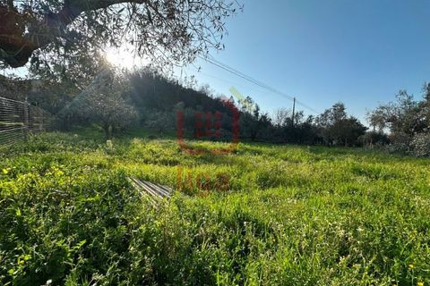 Helårsgrund i Ourem, Santarem, Ourem - € 35.000 | Ref: 1357 - foto 3