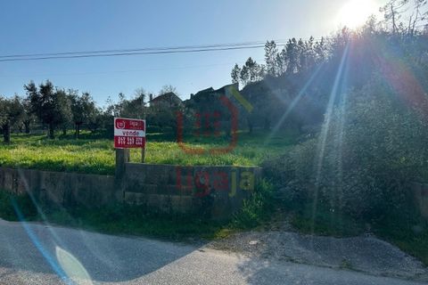 Helårsgrund i Ourem, Santarem, Ourem - € 35.000 | Ref: 1357 - foto 6