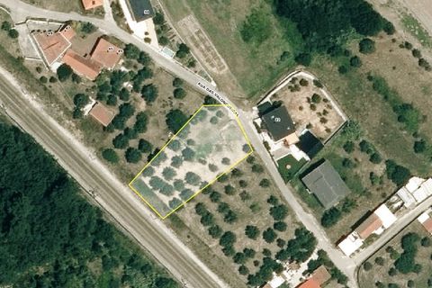 Helårsgrund i Ourem, Santarem, Ourem - € 35.000 | Ref: 1357 - foto 7