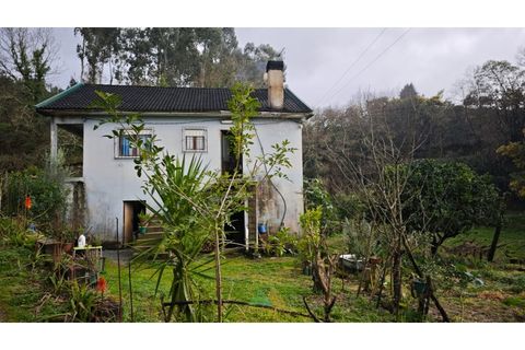 Villa i Ponte de Lima, Viana do Castelo, Ponte de Lima - € 275.000 | Ref: PTL-016-050 - foto 7