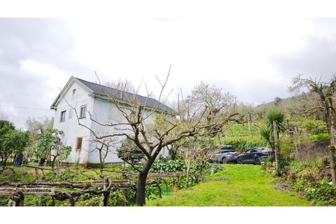 Villa i Ponte de Lima, Viana do Castelo, Ponte de Lima - € 275.000 | Ref: PTL-016-050 - foto 10