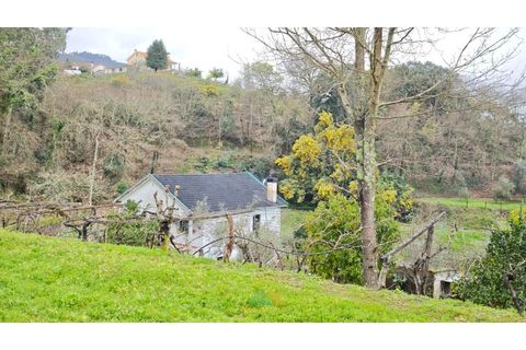 Villa i Ponte de Lima, Viana do Castelo, Ponte de Lima - € 275.000 | Ref: PTL-016-050 - foto 11