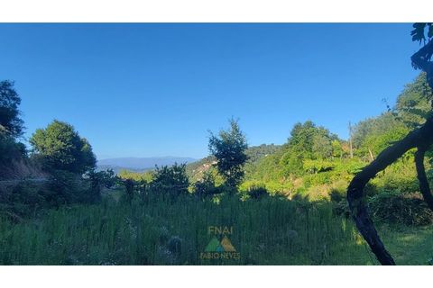 Villa i Ponte de Lima, Viana do Castelo, Ponte de Lima - € 275.000 | Ref: PTL-016-050 - foto 24