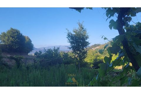 Villa i Ponte de Lima, Viana do Castelo, Ponte de Lima - € 275.000 | Ref: PTL-016-050 - foto 29