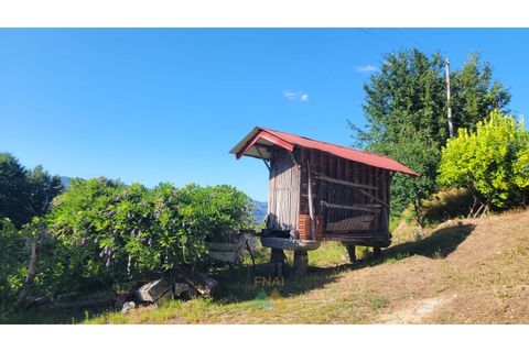 Villa i Ponte de Lima, Viana do Castelo, Ponte de Lima - € 275.000 | Ref: PTL-016-050 - foto 30