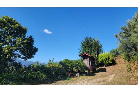 Villa i Ponte de Lima, Viana do Castelo, Ponte de Lima - € 275.000 | Ref: PTL-016-050 - foto 31