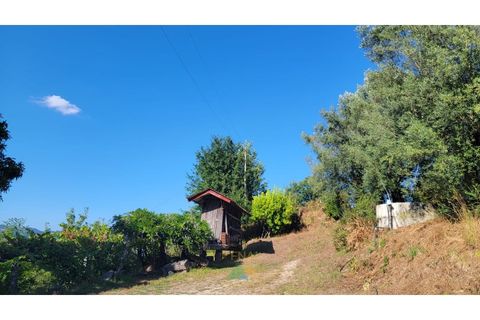 Villa i Ponte de Lima, Viana do Castelo, Ponte de Lima - € 275.000 | Ref: PTL-016-050 - foto 32