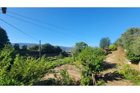 Villa i Ponte de Lima, Viana do Castelo, Ponte de Lima - € 275.000 | Ref: PTL-016-050 - foto 33