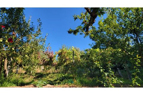 Villa i Ponte de Lima, Viana do Castelo, Ponte de Lima - € 275.000 | Ref: PTL-016-050 - foto 34