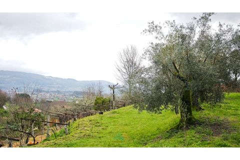 Villa i Ponte de Lima, Viana do Castelo, Ponte de Lima - € 275.000 | Ref: PTL-016-050 - foto 37
