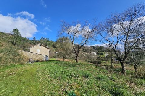 Villa i Ponte de Lima, Viana do Castelo, Ponte de Lima - € 255.000 | Ref: PTL-016-046 - foto 8