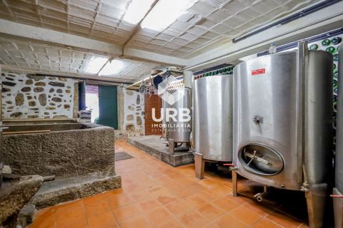Farm i Braga, Braga, Braga - € 850.000 | Ref: RU01-40180 - foto 31
