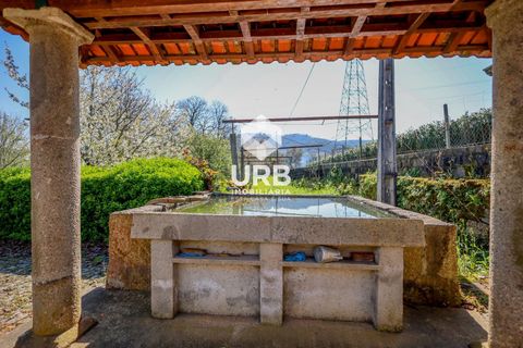 Farm i Braga, Braga, Braga - € 850.000 | Ref: RU01-40180 - foto 32