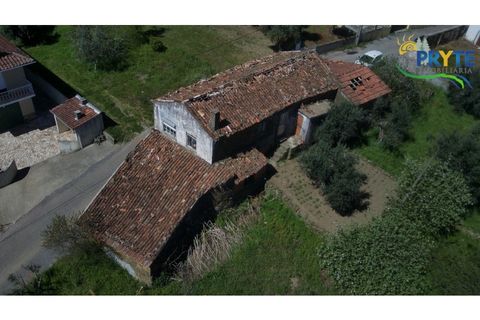 Villa a Serta, Castelo Branco, Serta - € 36.500 | Ref: RF79 - foto 5