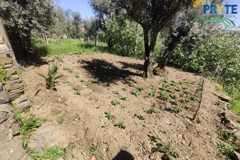 Villa a Serta, Castelo Branco, Serta - € 36.500 | Ref: RF79 - foto 19
