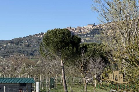 Villa a Cortona, Arezzo, Cortona - € 155.000 | Ref: Po376-1004750 - foto 14