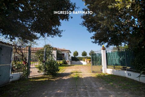 Villa i Montemassi, Grosseto, Montemassi - € 315.000 | Ref: 41741006-194-1010126 - foto 4