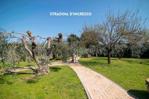 Villa i Montemassi, Grosseto, Montemassi - € 315.000 | Ref: 41741006-194-1010126 - foto 5
