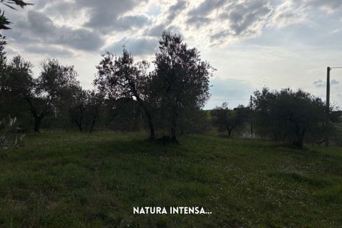 Villa i Roccastrada, Grosseto, Roccastrada - € 25.000 | Ref: __trashed-1010178 - foto 2