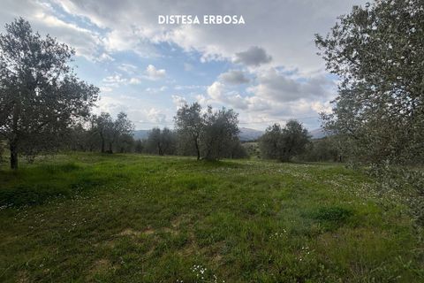 Villa i Roccastrada, Grosseto, Roccastrada - € 25.000 | Ref: __trashed-1010178 - foto 4