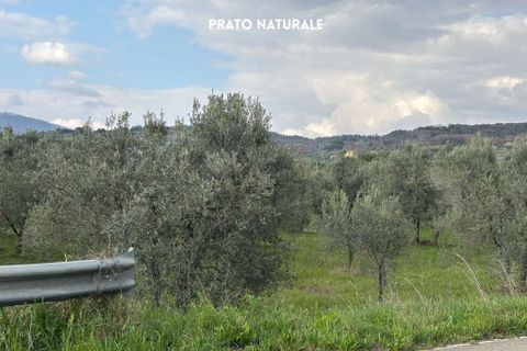 Villa i Roccastrada, Grosseto, Roccastrada - € 25.000 | Ref: __trashed-1010178 - foto 5