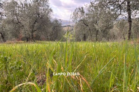 Villa i Roccastrada, Grosseto, Roccastrada - € 25.000 | Ref: __trashed-1010178 - foto 6