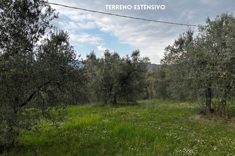 Villa i Roccastrada, Grosseto, Roccastrada - € 25.000 | Ref: __trashed-1010178 - foto 7