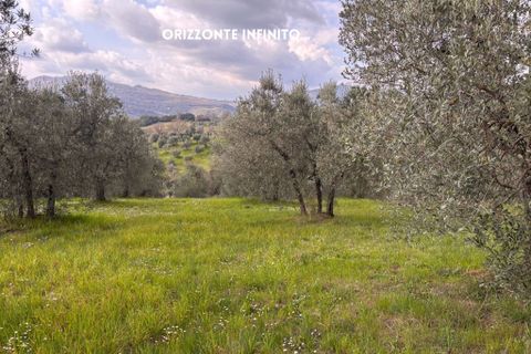 Villa i Roccastrada, Grosseto, Roccastrada - € 25.000 | Ref: __trashed-1010178 - foto 9