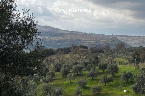 Villa i Roccastrada, Grosseto, Roccastrada - € 25.000 | Ref: __trashed-1010178 - foto 15