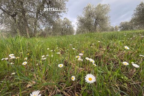 Villa i Roccastrada, Grosseto, Roccastrada - € 25.000 | Ref: __trashed-1010178 - foto 18