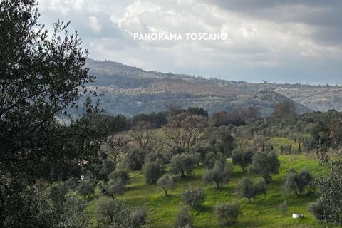Villa i Roccastrada, Grosseto, Roccastrada - € 25.000 | Ref: __trashed-1010178 - foto 20